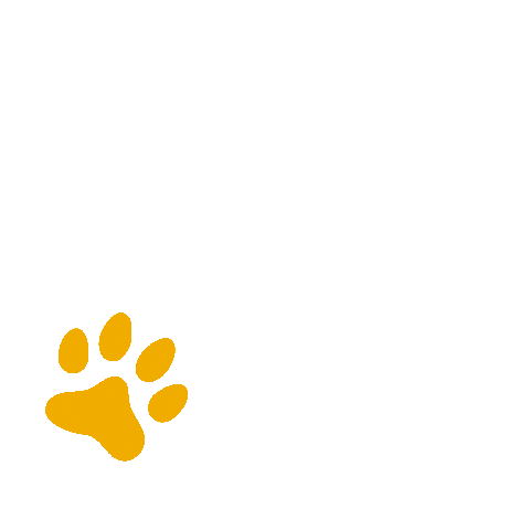 Paws Superorange Sticker by KUNKAY