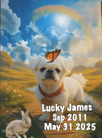 Lucky James GIF