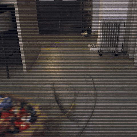 Elf Watch GIF