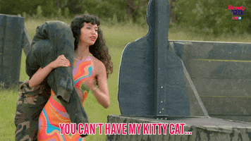 Cat Kitty GIF by Beauty and the Geek Australia