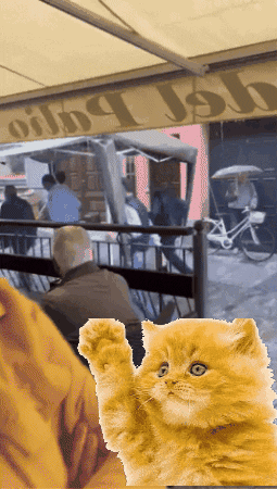 Animated GIF