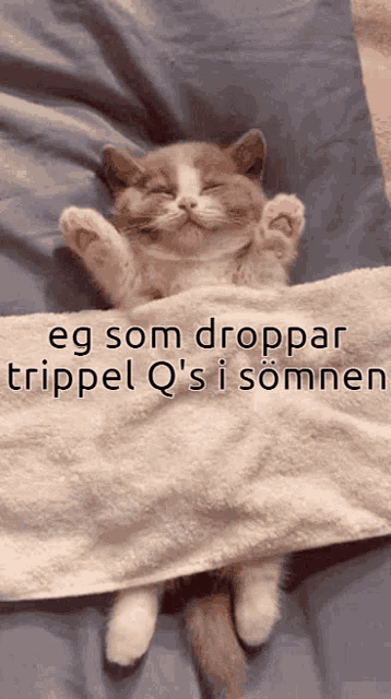 Q GIF