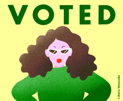 Go Vote Voting GIF