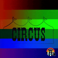 GIF by Circus Hair