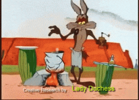 Road Runner GIFs - Find & Share on GIPHY