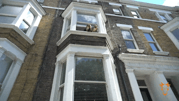 London House GIF by The Goat Agency