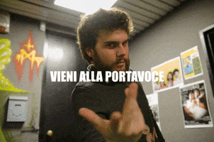 lamb  GIF