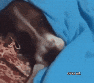 Dog Sleeping GIF by DevX Art