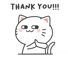 Cat Thank You GIF by Kiki