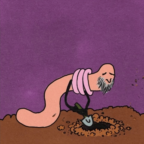Season 7 Episode 10 GIF by SpongeBob SquarePants - Find & Share on GIPHY