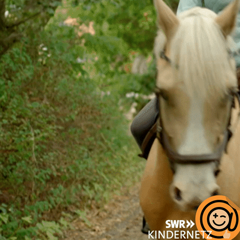 Horse Go GIF by SWR Kindernetz