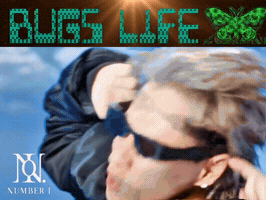 Bug Numberi GIF