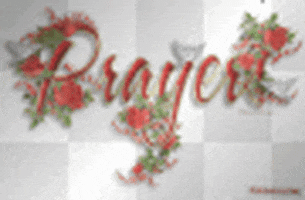 picture prayers GIF