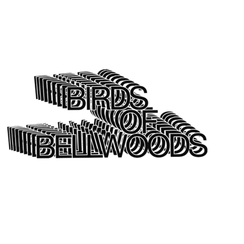 Birds of Bellwoods Sticker