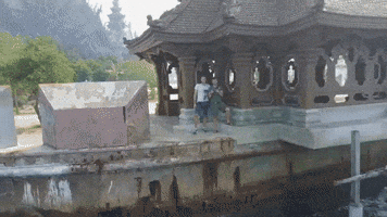 homeschool  GIF
