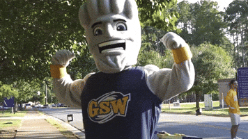 Mascot Hurricanes GIF by Georgia Southwestern State University
