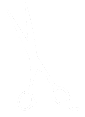 Salon Gemini Sticker