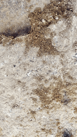 LOCAVENTE GIF
