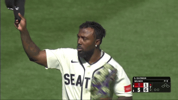 Sport Baseball GIF by MLB