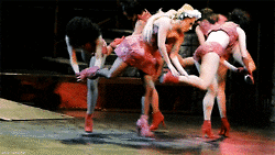 giphy.gif