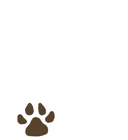 Nuggie Paw Shop Sticker