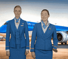 High Five Cabin Crew GIF by KLM