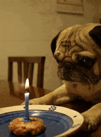 Gif Image