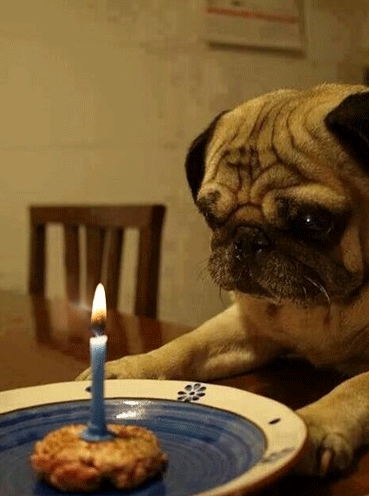 Jak lubisz świętować swoje urodziny