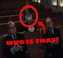 Bunny Confusion GIF