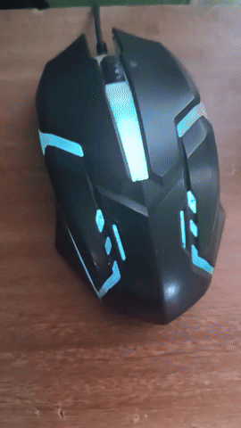 Mouse GIF
