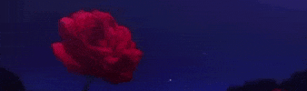 Commu GIF