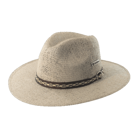 Hat Cowboy Sticker by Sacudidos