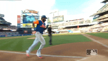 home rosario GIF by MLB