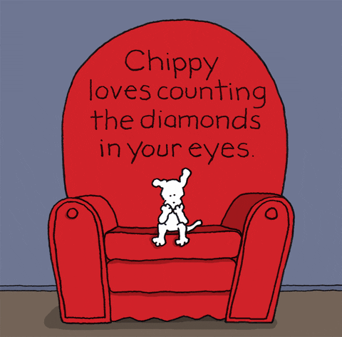 you are perfect GIF by Chippy the dog