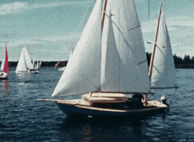 Summer Water GIF by Archives of Ontario | Archives publiques de l'Ontario'Ontario