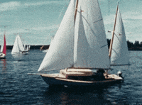 Well-just-ask-the-kingston GIFs - Get the best GIF on GIPHY