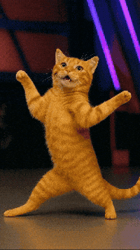 틴더스 GIF