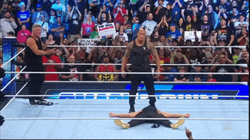 Wwe GIF