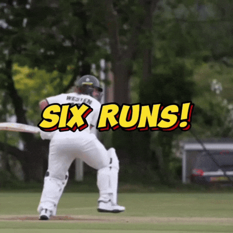 Cricket Ipl GIF by Luke Westen