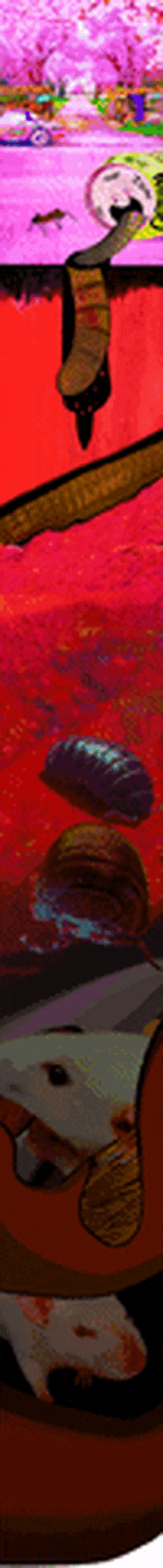 Fid0 GIF