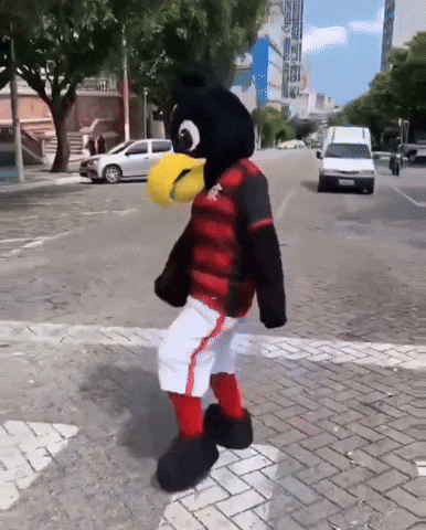 Flamengo GIF