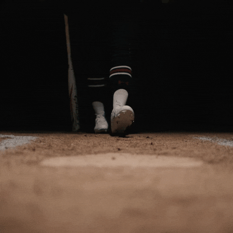 South Carolina Celebration GIF by Gamecock Athletics