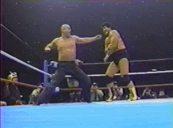 Wwf GIF