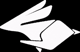 Racing Rabbit GIF
