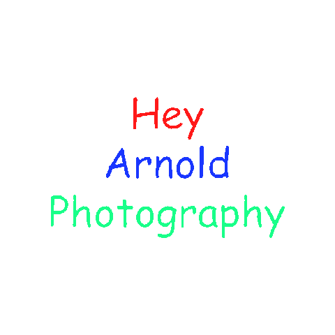 heyarnoldphotography Sticker