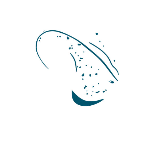 StingrayDivers Sticker