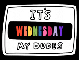 Text gif. Text, “It’s Wednesday my dudes.”