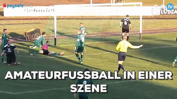 hanneshilbrecht  GIF