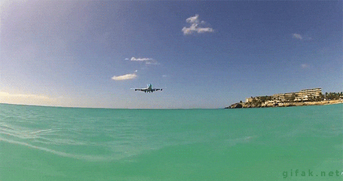 Airplane Landing GIF - Find & Share on GIPHY
