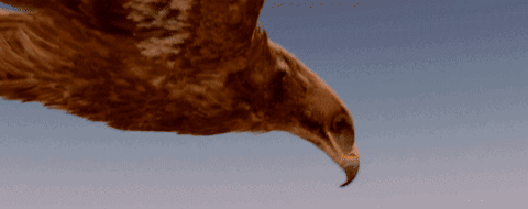 The Eagle GIF